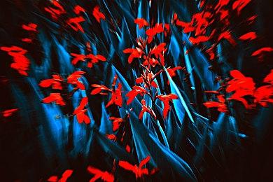 运动番《小鸟之翼》改编游戏6月15日发售